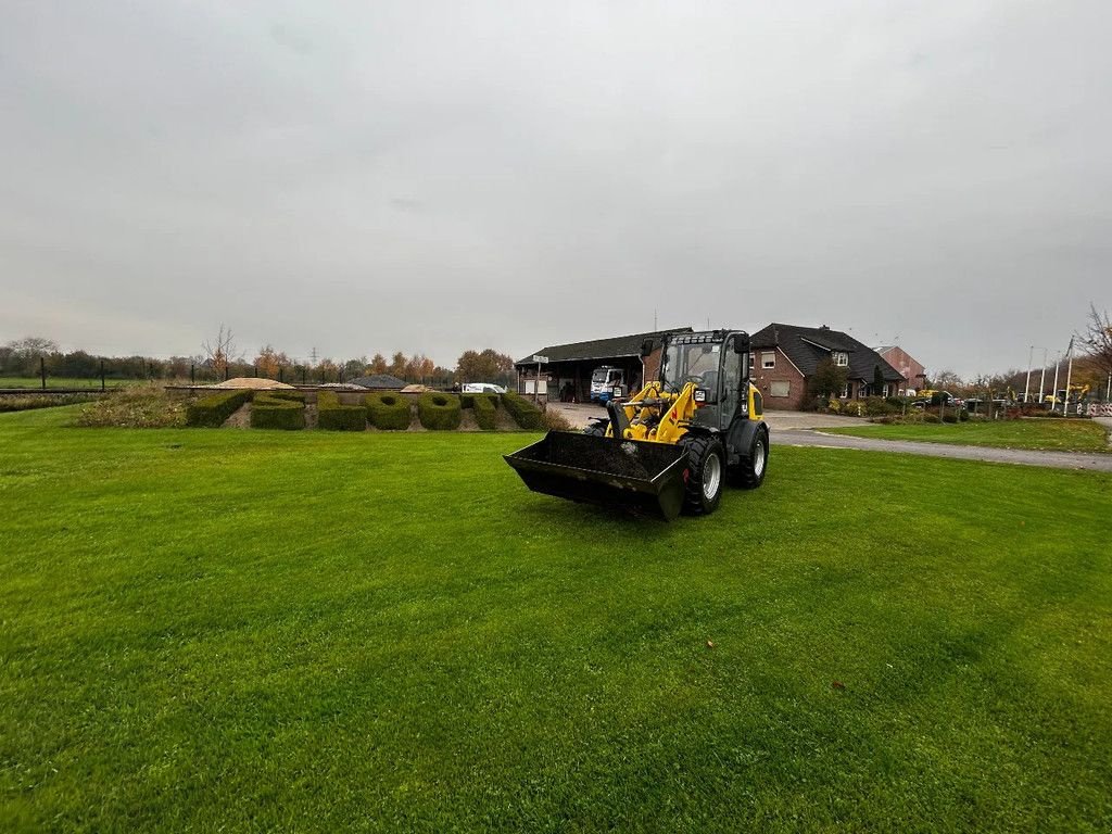 Radlader of the type Wacker Neuson WL44, Gebrauchtmaschine in Didam (Picture 1)