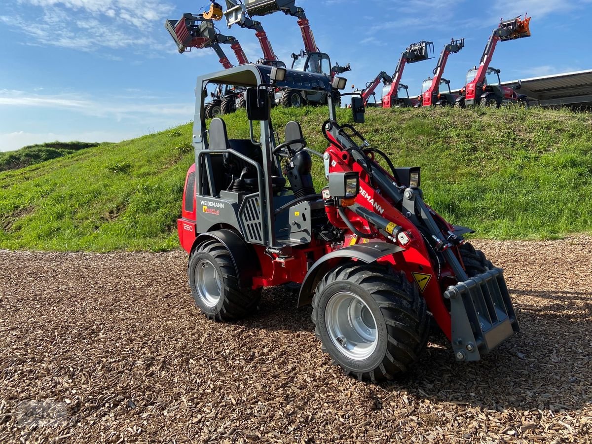 Radlader a típus Weidemann  1280 Hoftrac, Neumaschine ekkor: Burgkirchen (Kép 5)