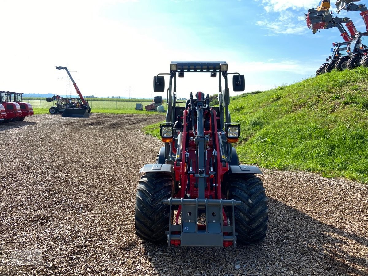 Radlader a típus Weidemann  1280 Hoftrac, Neumaschine ekkor: Burgkirchen (Kép 4)