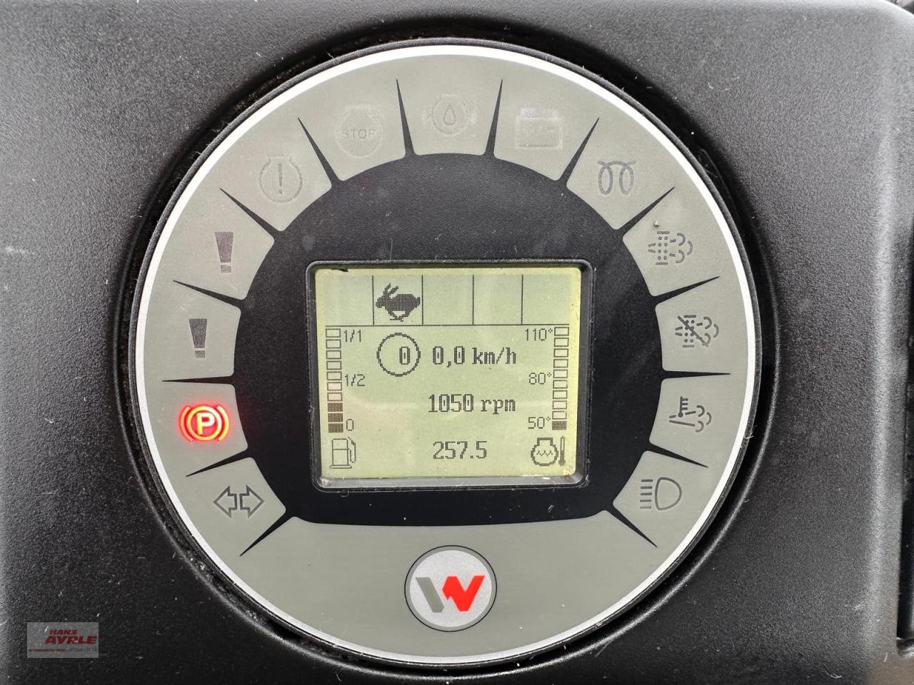 Radlader typu Weidemann  1390, Gebrauchtmaschine v Steinheim (Obrázek 12)