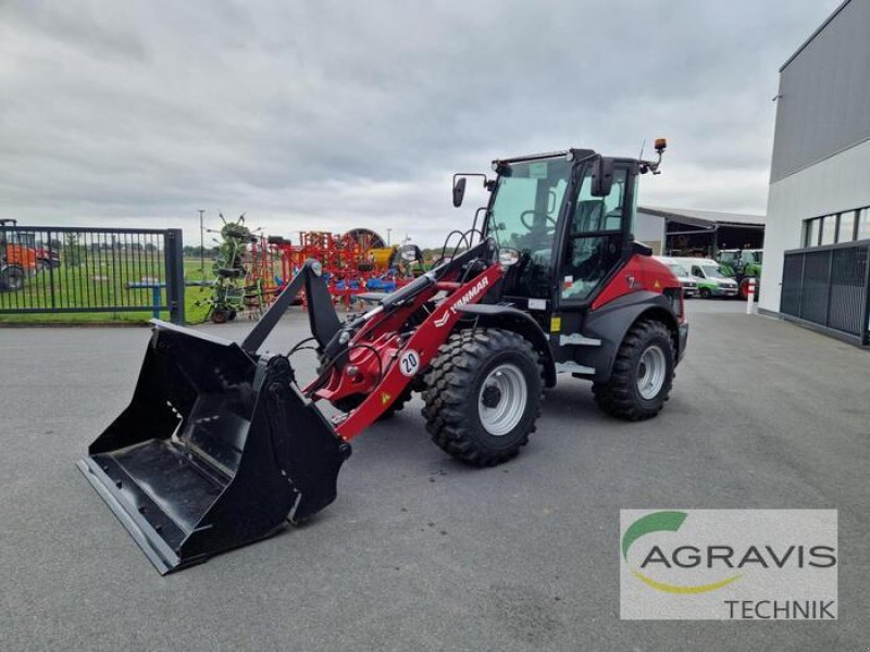 Radlader of the type Yanmar V 7, Neumaschine in Borken (Picture 1)