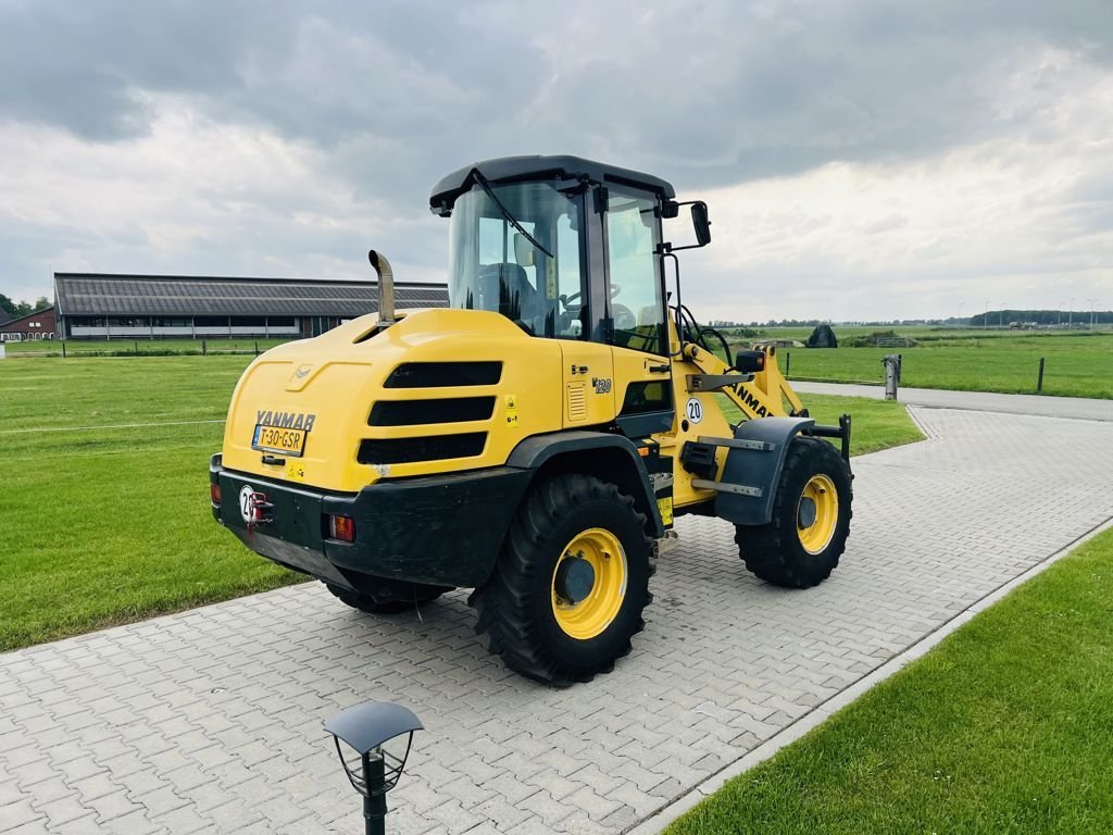 Radlader of the type Yanmar V120, Gebrauchtmaschine in Coevorden (Picture 5)