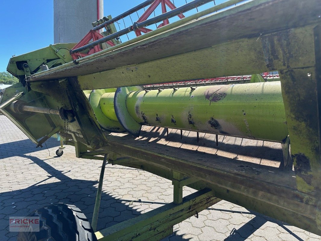 Rapsschneidwerk typu CLAAS 5,10 mtr. Rapschneidwerk, Gebrauchtmaschine v Bockel - Gyhum (Obrázek 11)