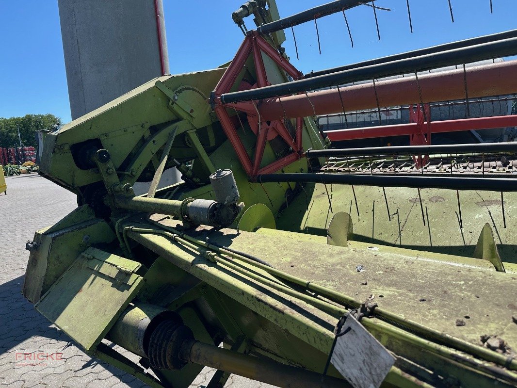 Rapsschneidwerk typu CLAAS 5,10 mtr. Rapschneidwerk, Gebrauchtmaschine v Bockel - Gyhum (Obrázek 12)