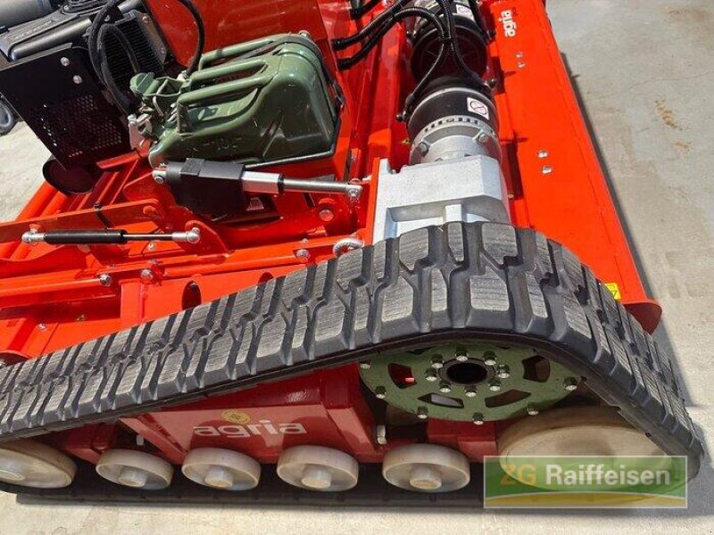 Rasenmäher typu Agria 9600-112, Gebrauchtmaschine v Donaueschingen (Obrázek 14)