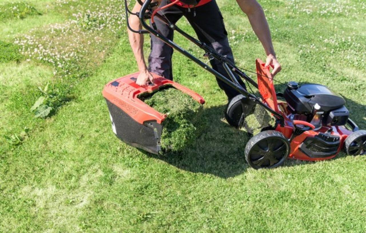 Rasenmäher van het type Al-KO 5231 SP-H, Neumaschine in Hartkirchen (Foto 3)