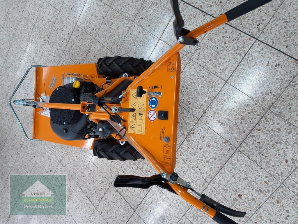 Rasenmäher от тип AS Baugeräte AS 65 4 T B&S, Neumaschine в Lambach (Снимка 4)