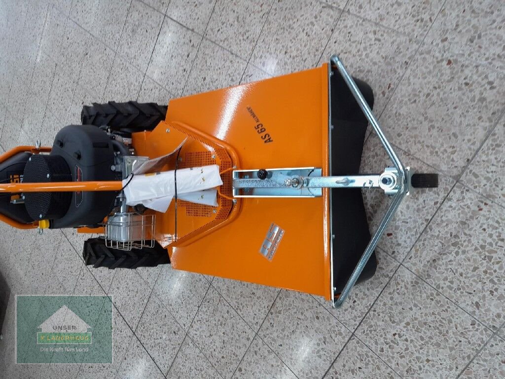 Rasenmäher tip Castelgarden AS 65 4 T B&S, Neumaschine in Lambach (Poză 3)