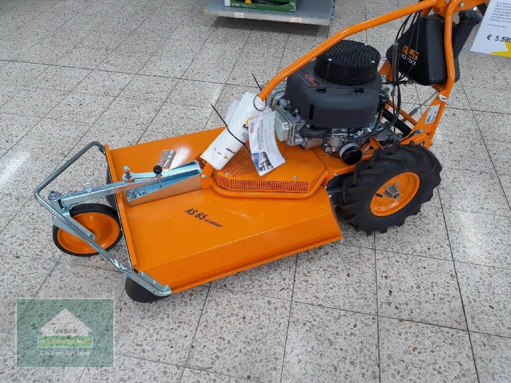 Rasenmäher tip Castelgarden AS 65 4 T B&S, Neumaschine in Lambach (Poză 1)