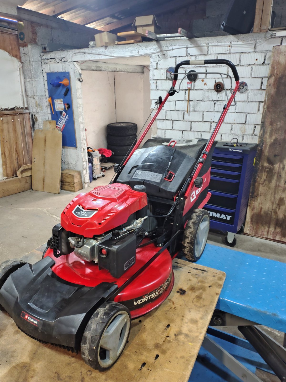 Rasenmäher Türe ait Einhell GC-PM 56/2 SHW, Gebrauchtmaschine içinde Neuburg (resim 1)