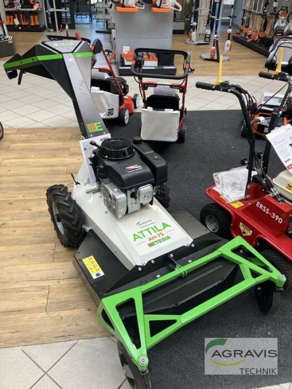 Rasenmäher des Typs Etesia ATTILA AH 75, Neumaschine in Lage (Bild 1)