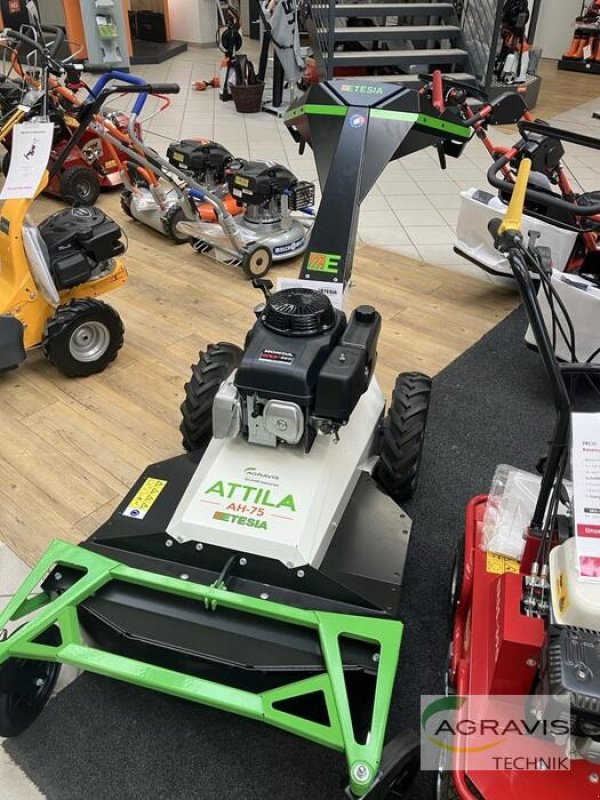 Rasenmäher des Typs Etesia ATTILA AH 75, Neumaschine in Lage (Bild 2)