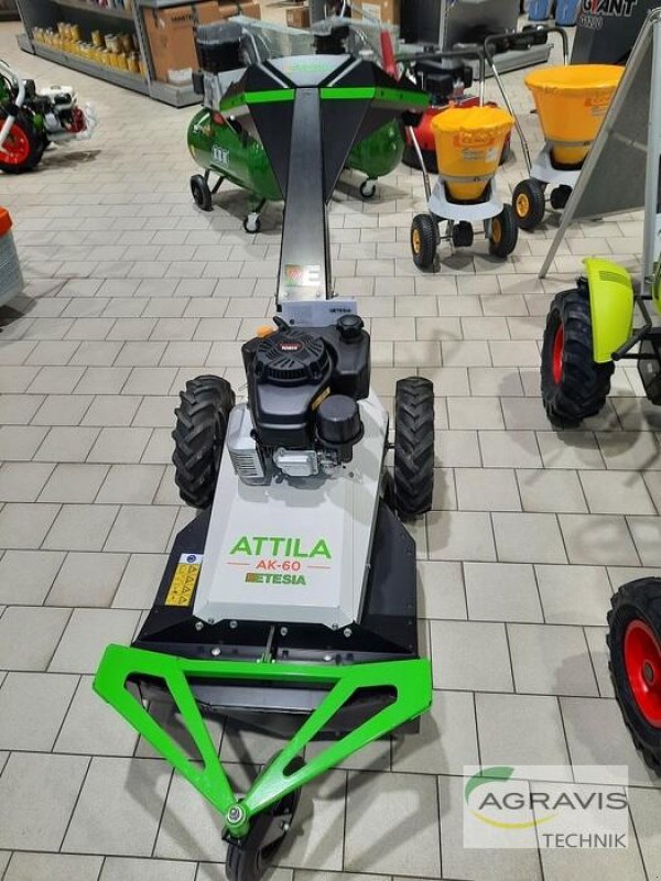 Rasenmäher des Typs Etesia ATTILA AK 60, Neumaschine in Salzkotten (Bild 1)