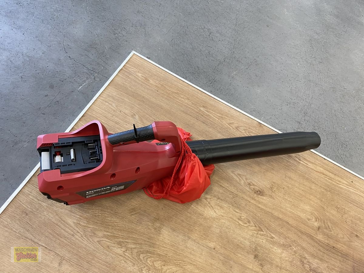 Rasenmäher des Typs Honda Akkusblasgerät HHB 36 AXP, Vorführmaschine in Kötschach (Bild 6)