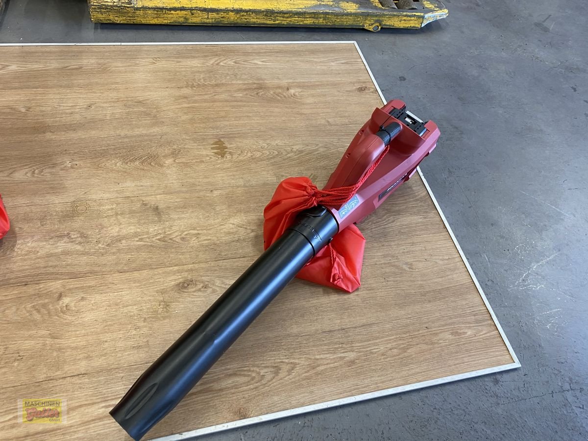 Rasenmäher des Typs Honda Akkusblasgerät HHB 36 AXP, Vorführmaschine in Kötschach (Bild 4)