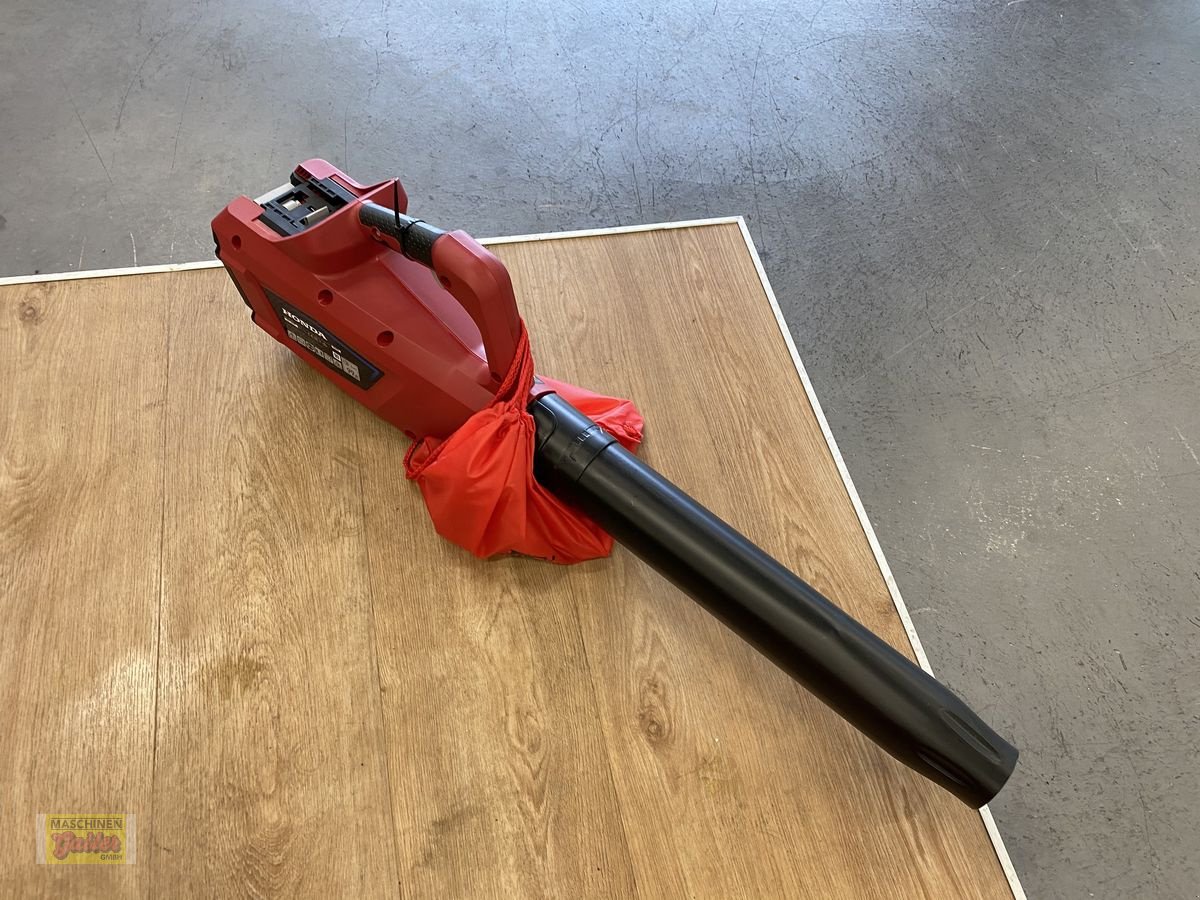Rasenmäher des Typs Honda Akkusblasgerät HHB 36 AXP, Vorführmaschine in Kötschach (Bild 3)