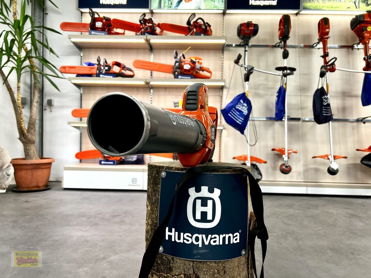 Rasenmäher του τύπου Husqvarna 525iB Mark 2 Akku-Blasgerät, Neumaschine σε Kötschach (Φωτογραφία 14)