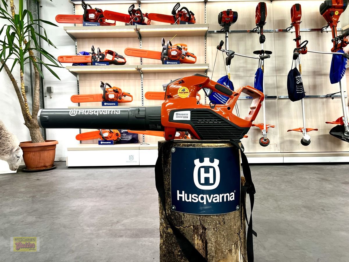 Rasenmäher του τύπου Husqvarna 525iB Mark 2 Akku-Blasgerät, Neumaschine σε Kötschach (Φωτογραφία 13)