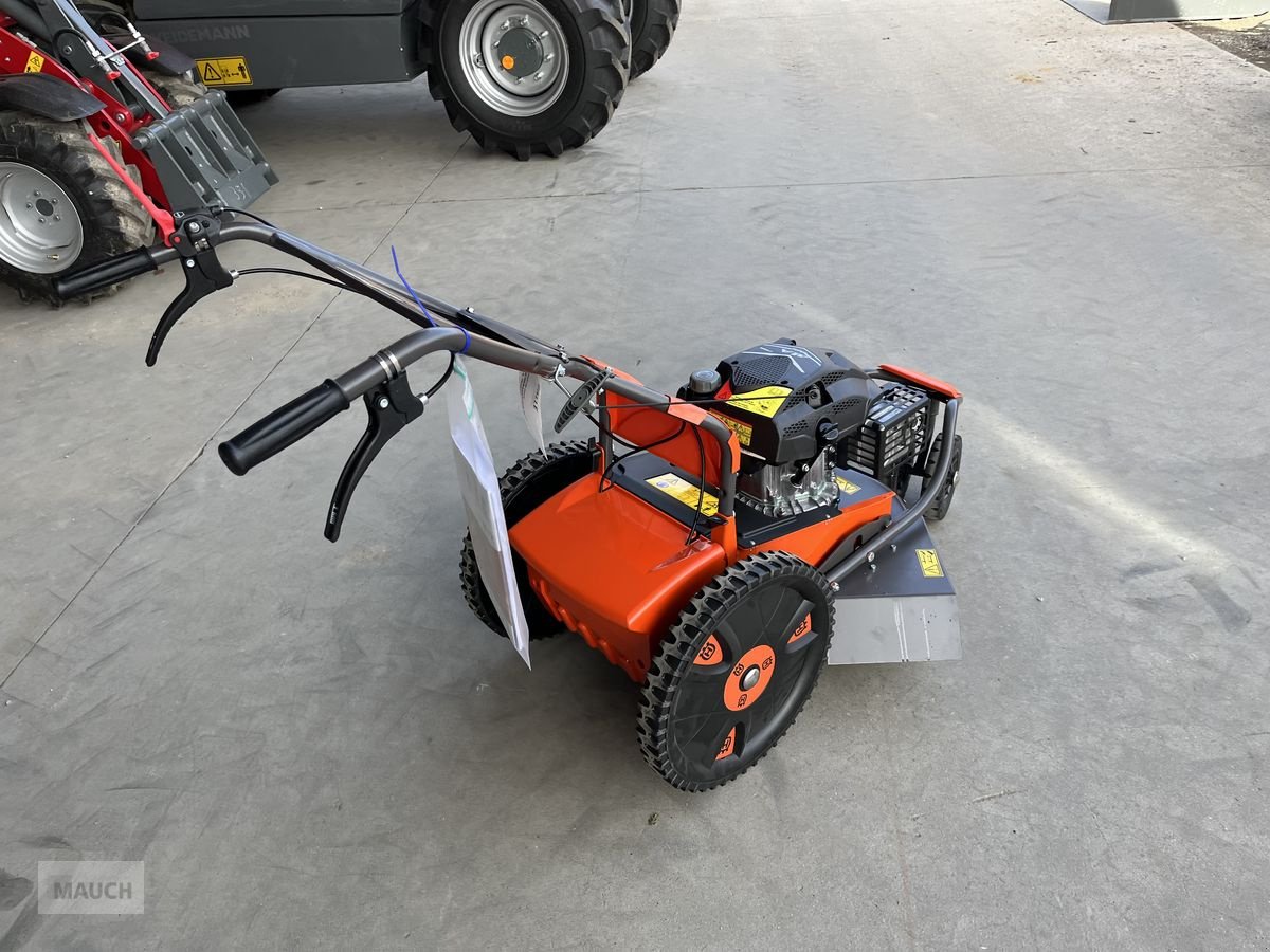 Rasenmäher of the type Husqvarna Hochgrasmäher DBY51 NEU, Neumaschine in Burgkirchen (Picture 9)
