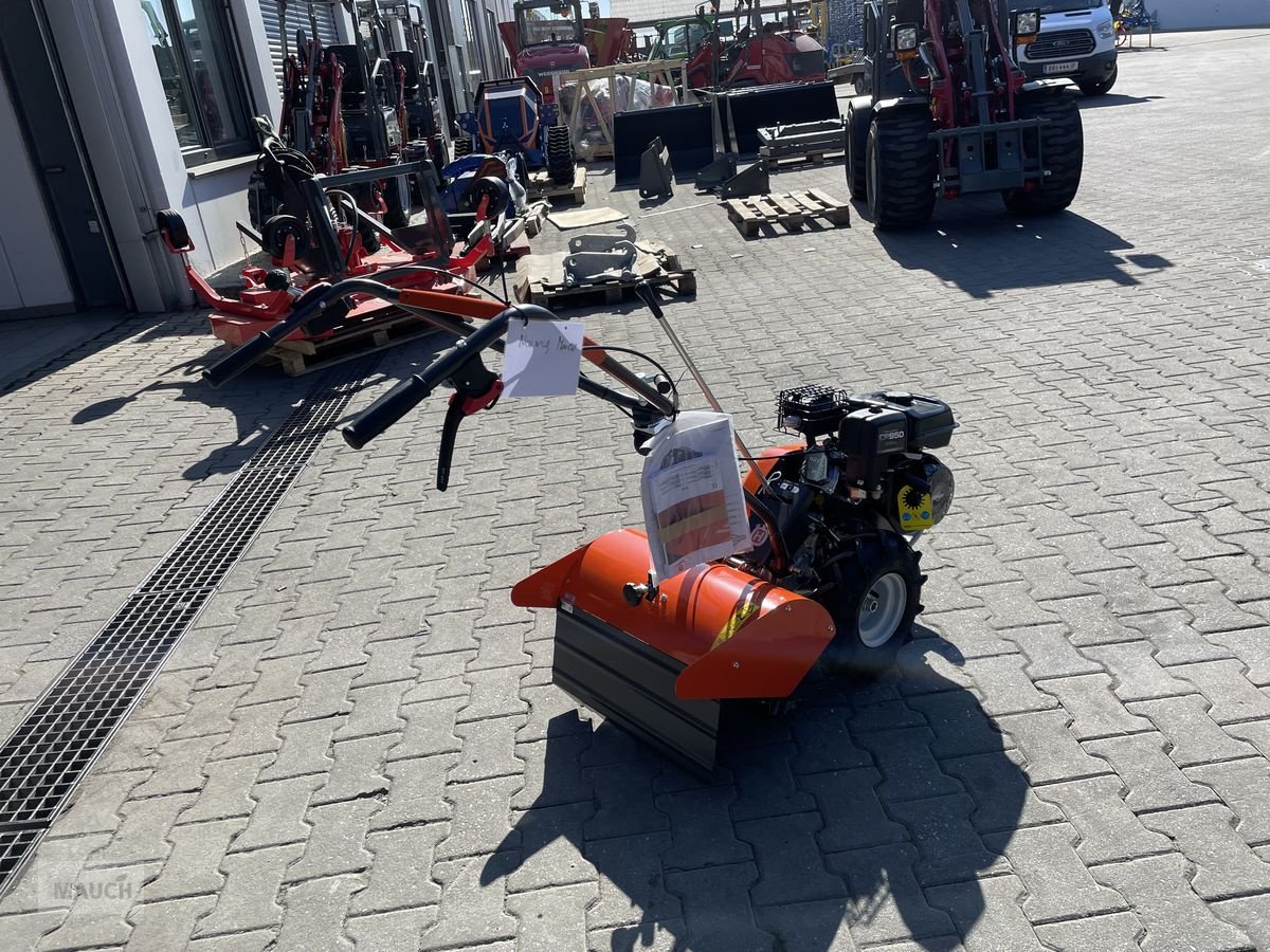 Rasenmäher des Typs Husqvarna Motorhacke TR348 mit Antrieb / Umkehrfräse, Neumaschine in Burgkirchen (Bild 5)