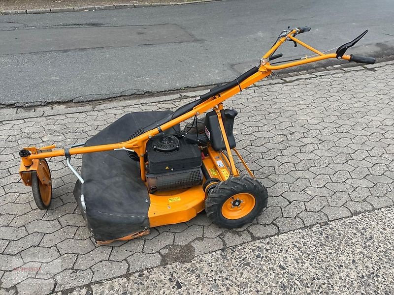Rasenmäher του τύπου Solo AS 28/4-KAT, Gebrauchtmaschine σε Obernholz  OT Steimke (Φωτογραφία 2)