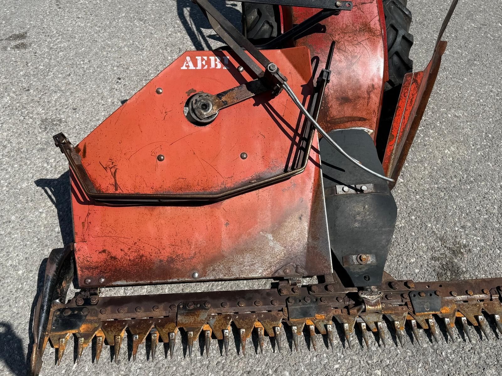 Rasenmäher za tip Sonstige Eingrasmotormäher, Gebrauchtmaschine u Kirchdorf (Slika 12)