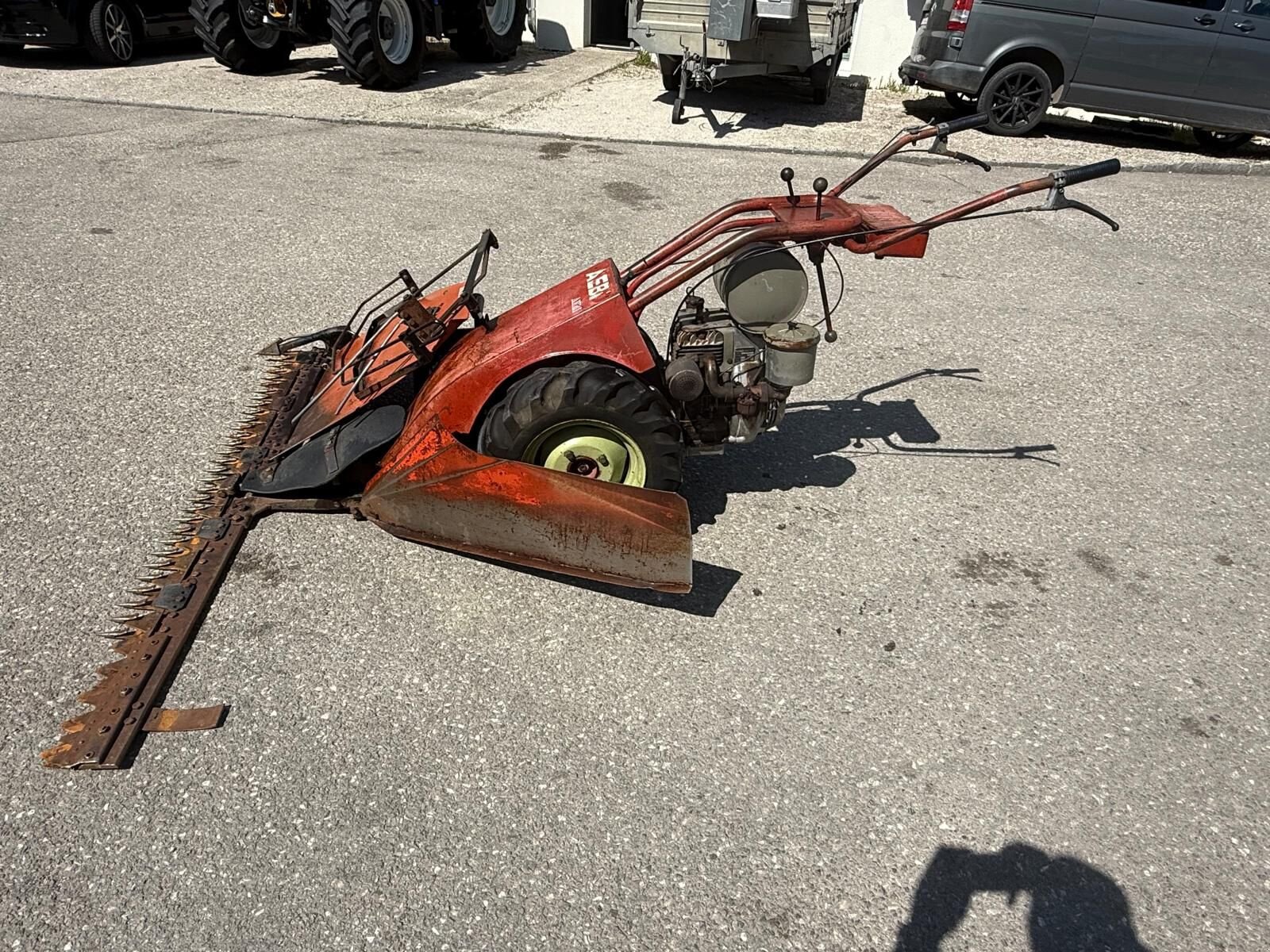 Rasenmäher za tip Sonstige Eingrasmotormäher, Gebrauchtmaschine u Kirchdorf (Slika 9)