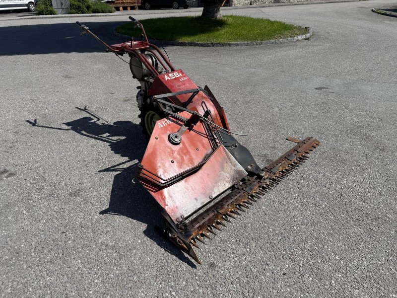 Rasenmäher a típus Sonstige Eingrasmotormäher, Gebrauchtmaschine ekkor: Kirchdorf (Kép 1)