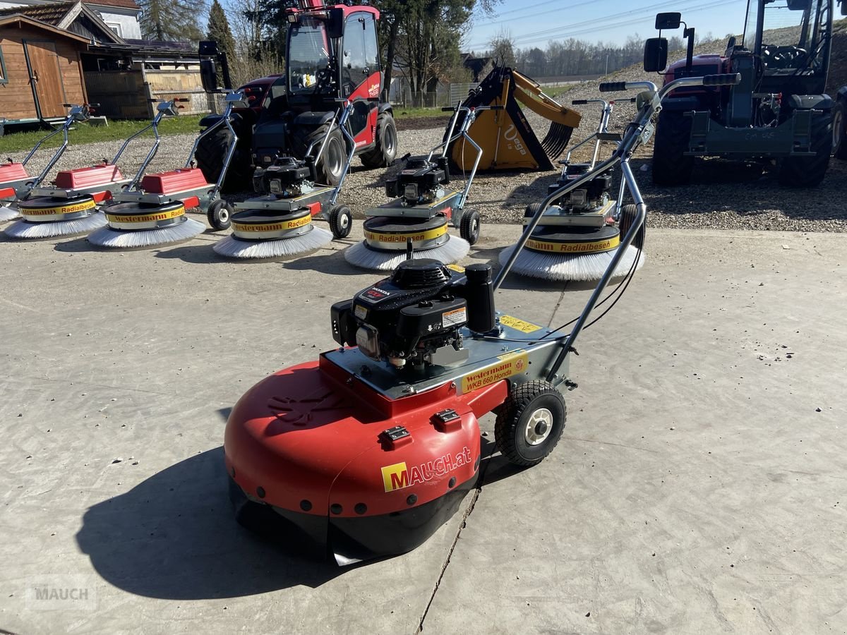 Rasenmäher des Typs Sonstige Westermann Wildkrautbürste WKB 660 Honda, Neumaschine in Burgkirchen (Bild 8)