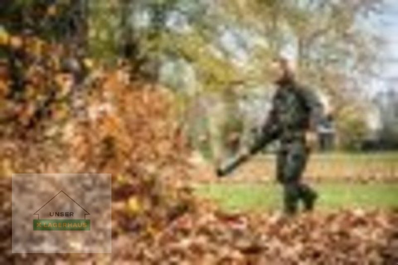 Rasenmäher del tipo Stihl BLASGERÄT BR800 C-E, Neumaschine en Wolfpassing (Imagen 2)