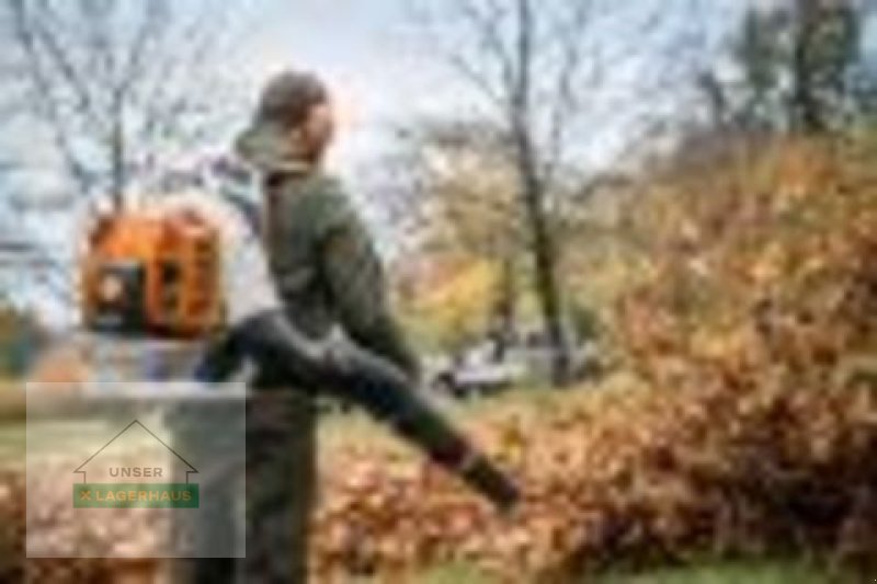 Rasenmäher del tipo Stihl BLASGERÄT BR800 C-E, Neumaschine en Wolfpassing (Imagen 1)