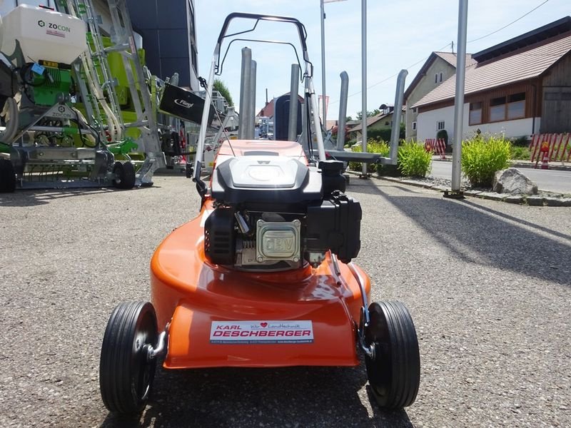 Rasenmäher a típus Stihl RM 253.2 T Rasenmäher, Neumaschine ekkor: St. Marienkirchen (Kép 2)