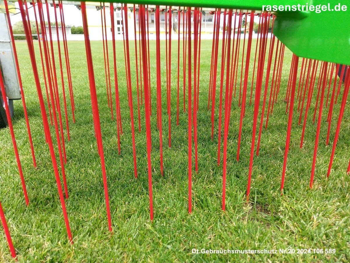 Rasenstriegel des Typs rasenstriegel.de RS2006, Neumaschine in Bad Staffelstein (Bild 2)