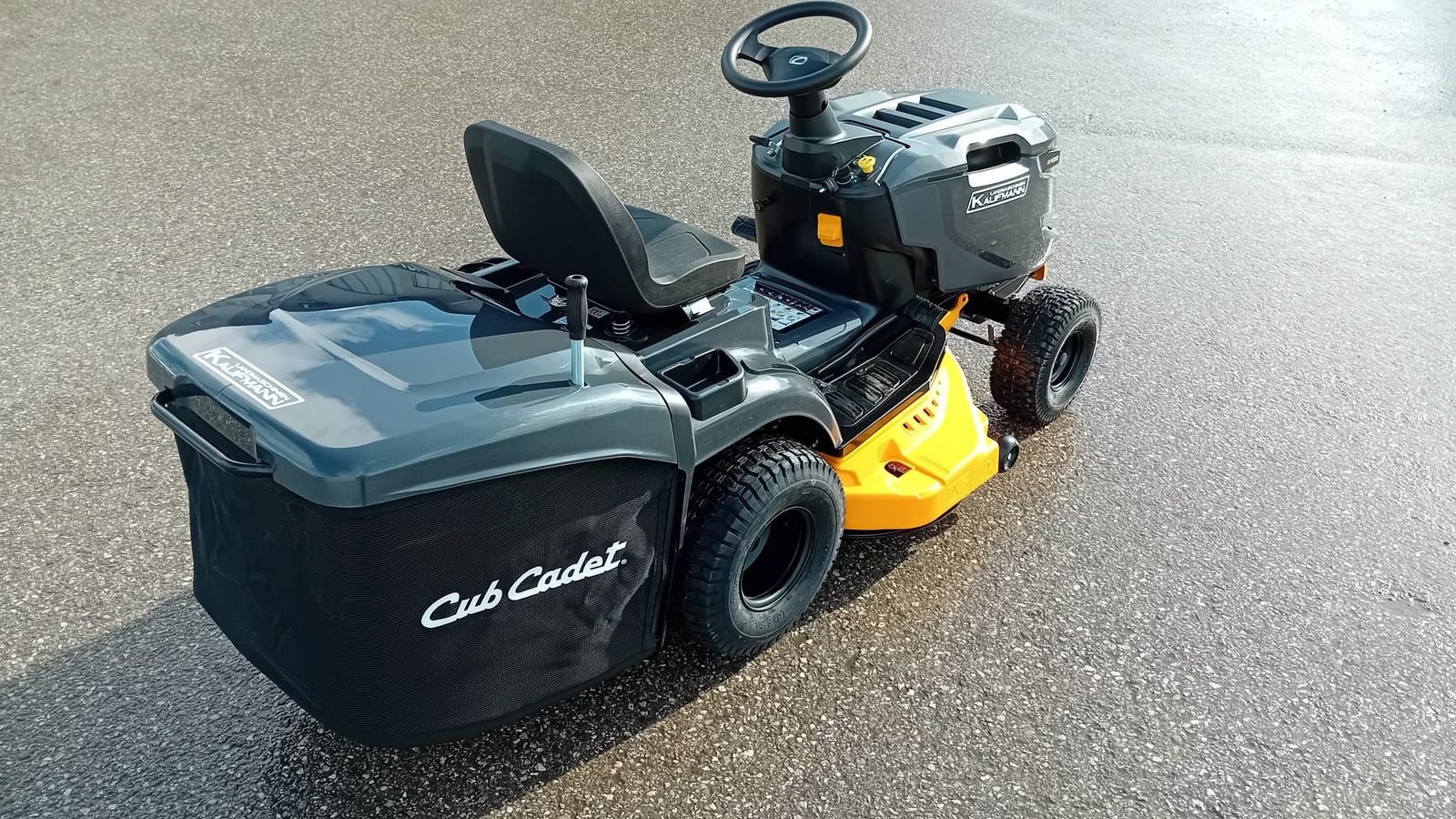 Rasentraktor des Typs Cub Cadet Cub Cadet LT3 R102 Rasentraktor, Neumaschine in NATTERNBACH (Bild 11)