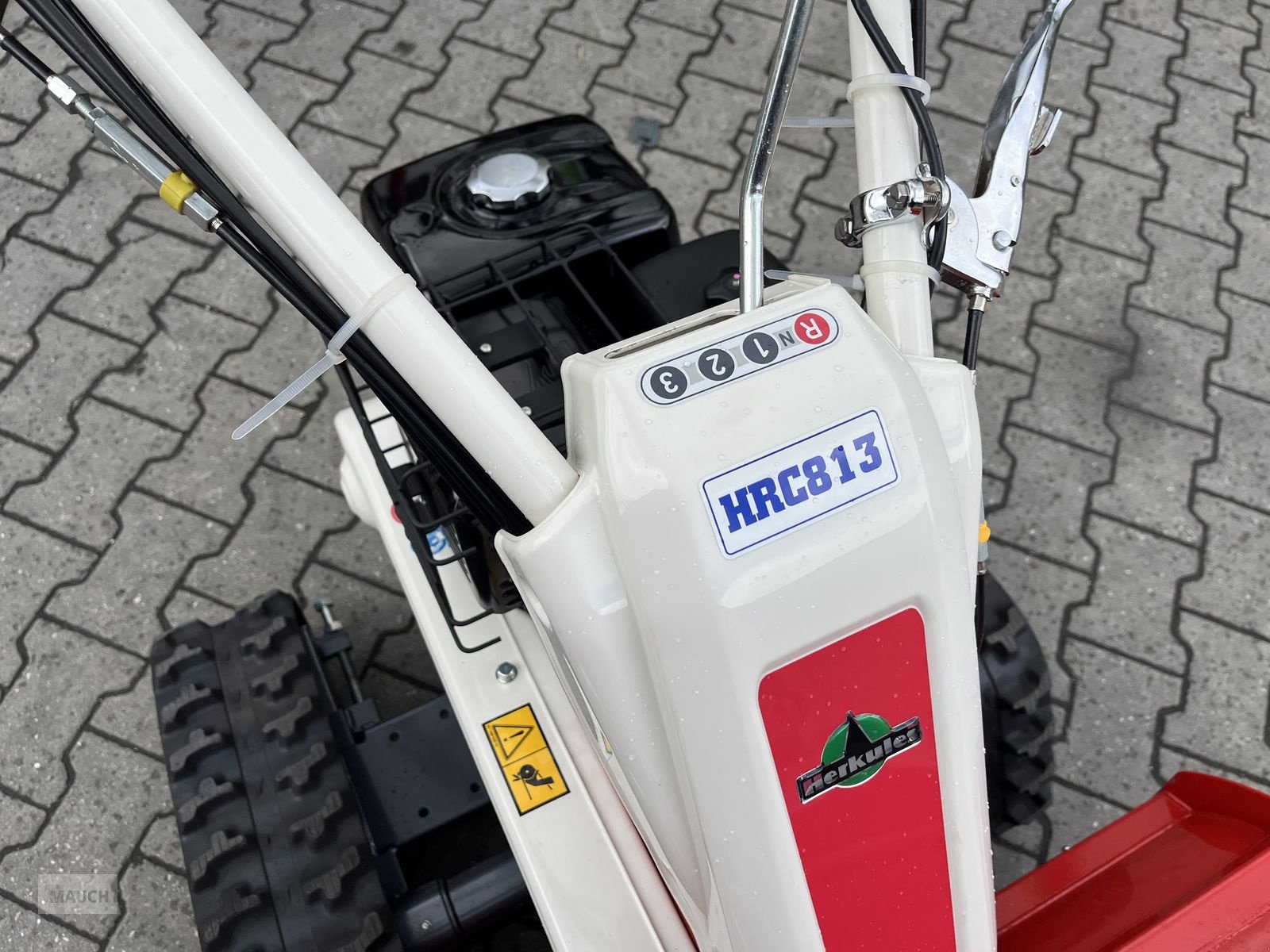 Rasentraktor a típus Herkules Hochgrasmäher HRC 813 H Schlegelmäher, Neumaschine ekkor: Burgkirchen (Kép 8)