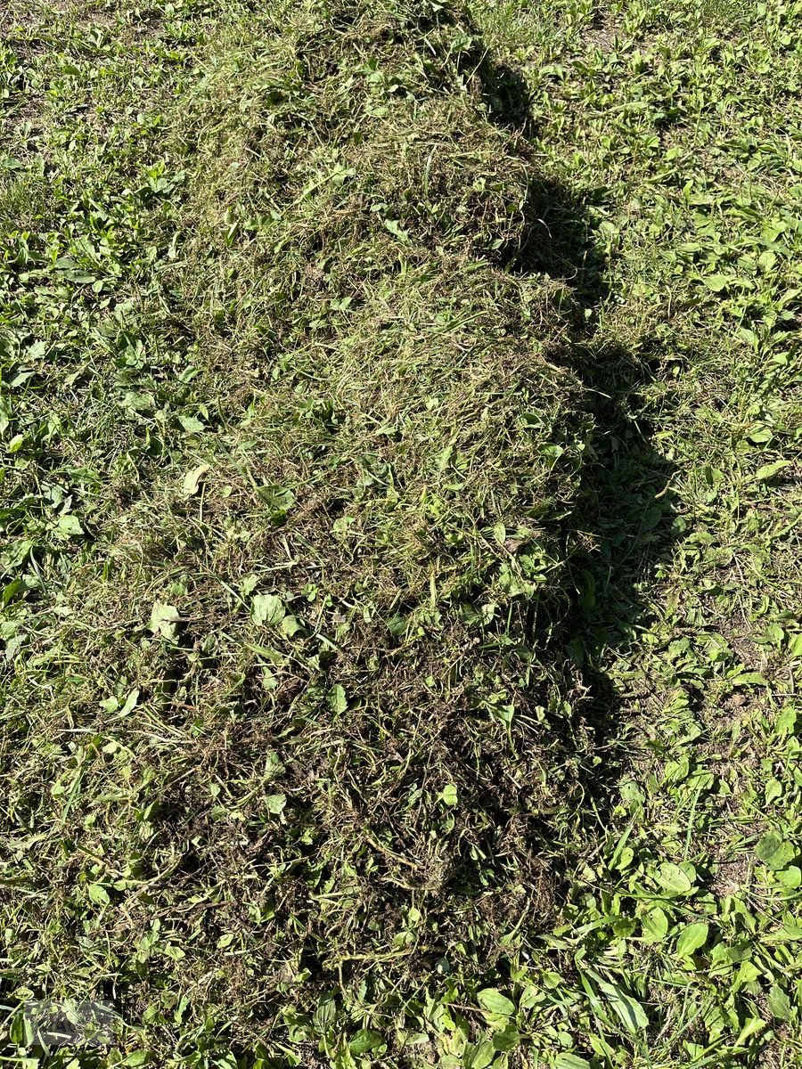 Rasentraktor des Typs Husqvarna Vertikutierer für Rider inkl. Sammelwanne, Neumaschine in Burgkirchen (Bild 2)