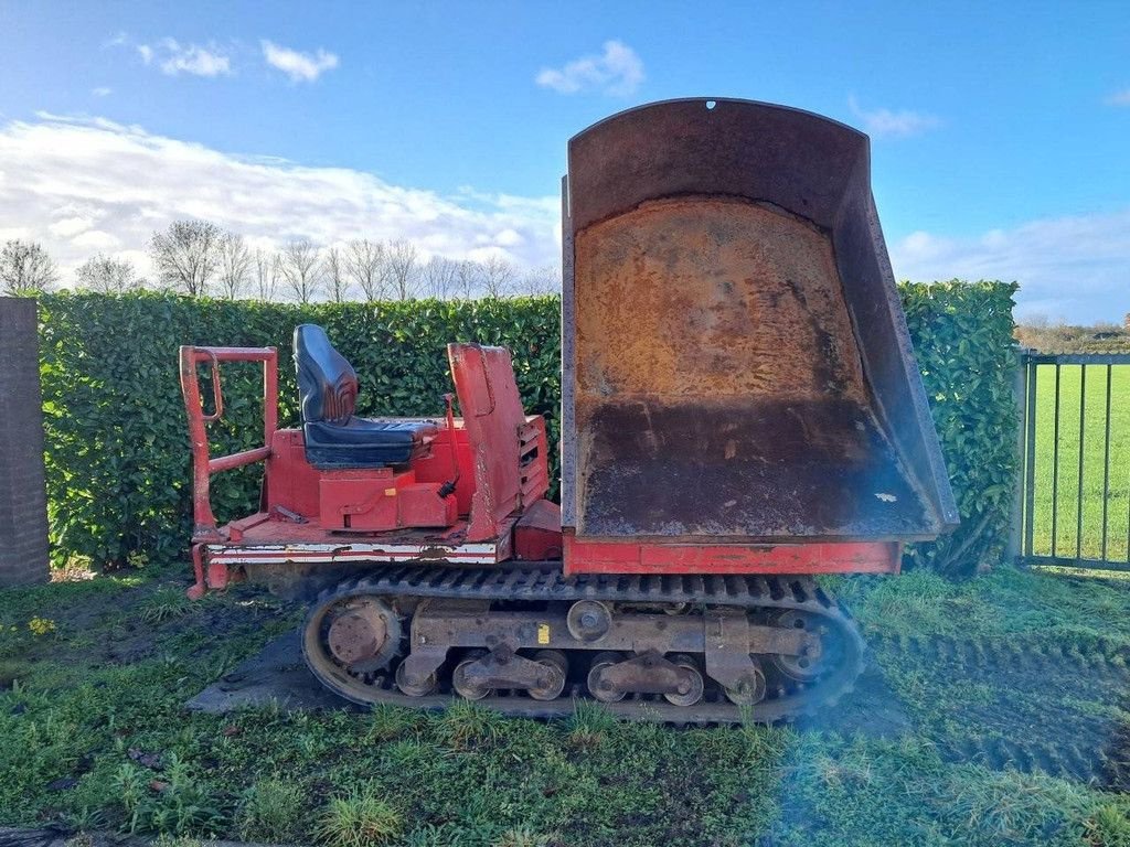 Raupendumper typu Kubota KC250HR, Gebrauchtmaschine v Antwerpen (Obrázek 11)