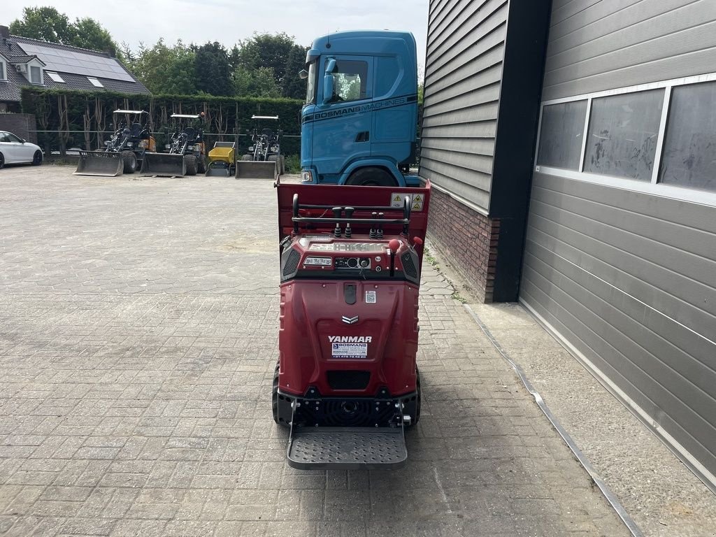 Raupendumper des Typs Yanmar TE HUUR C08 hitip rupsdumper hoogkiep, Gebrauchtmaschine in Neer (Bild 8)