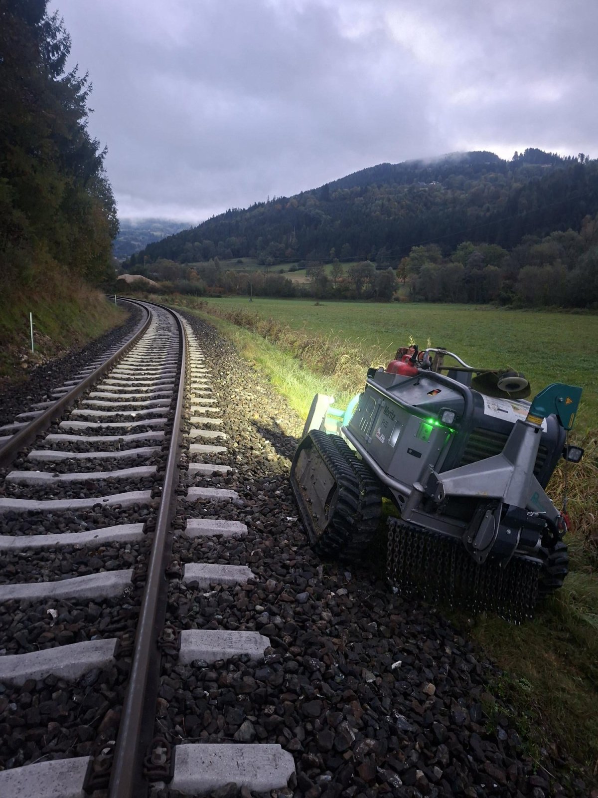 Raupentraktor typu Pflanzelt Maschinenbau Moritz FR75, Gebrauchtmaschine v St. Salvator (Obrázek 4)