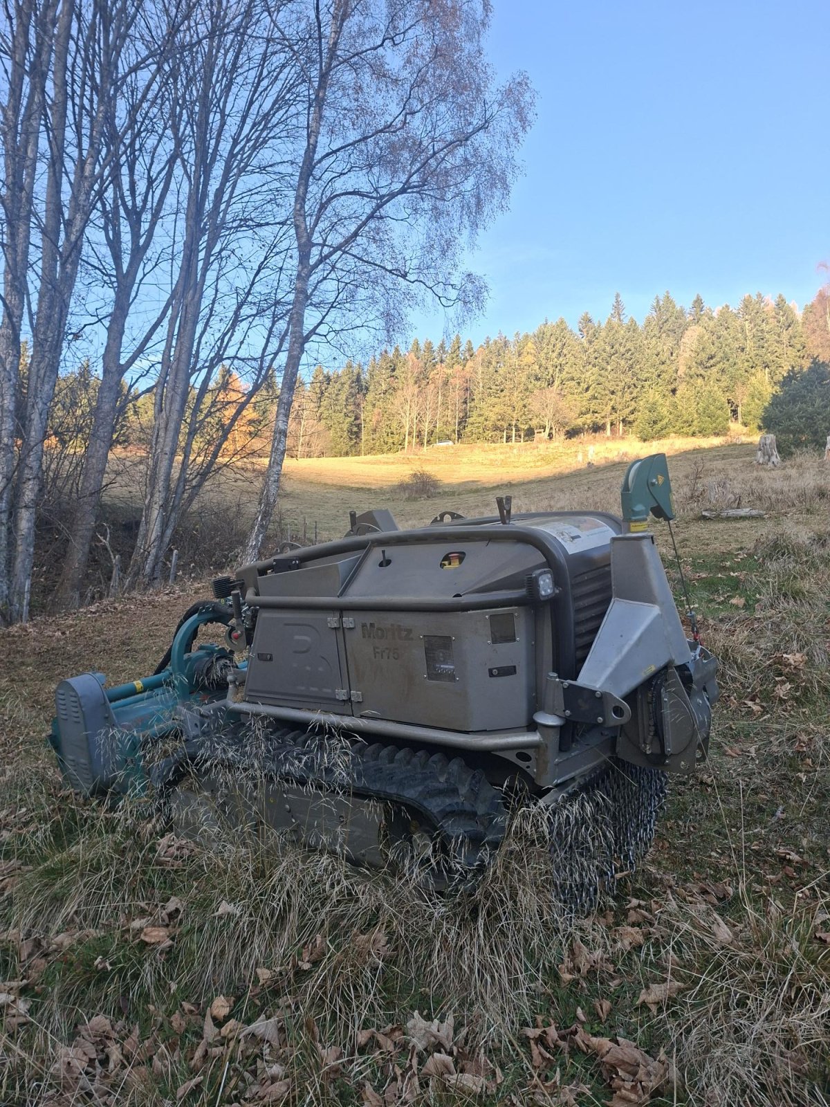 Raupentraktor typu Pflanzelt Maschinenbau Moritz FR75, Gebrauchtmaschine v St. Salvator (Obrázek 8)