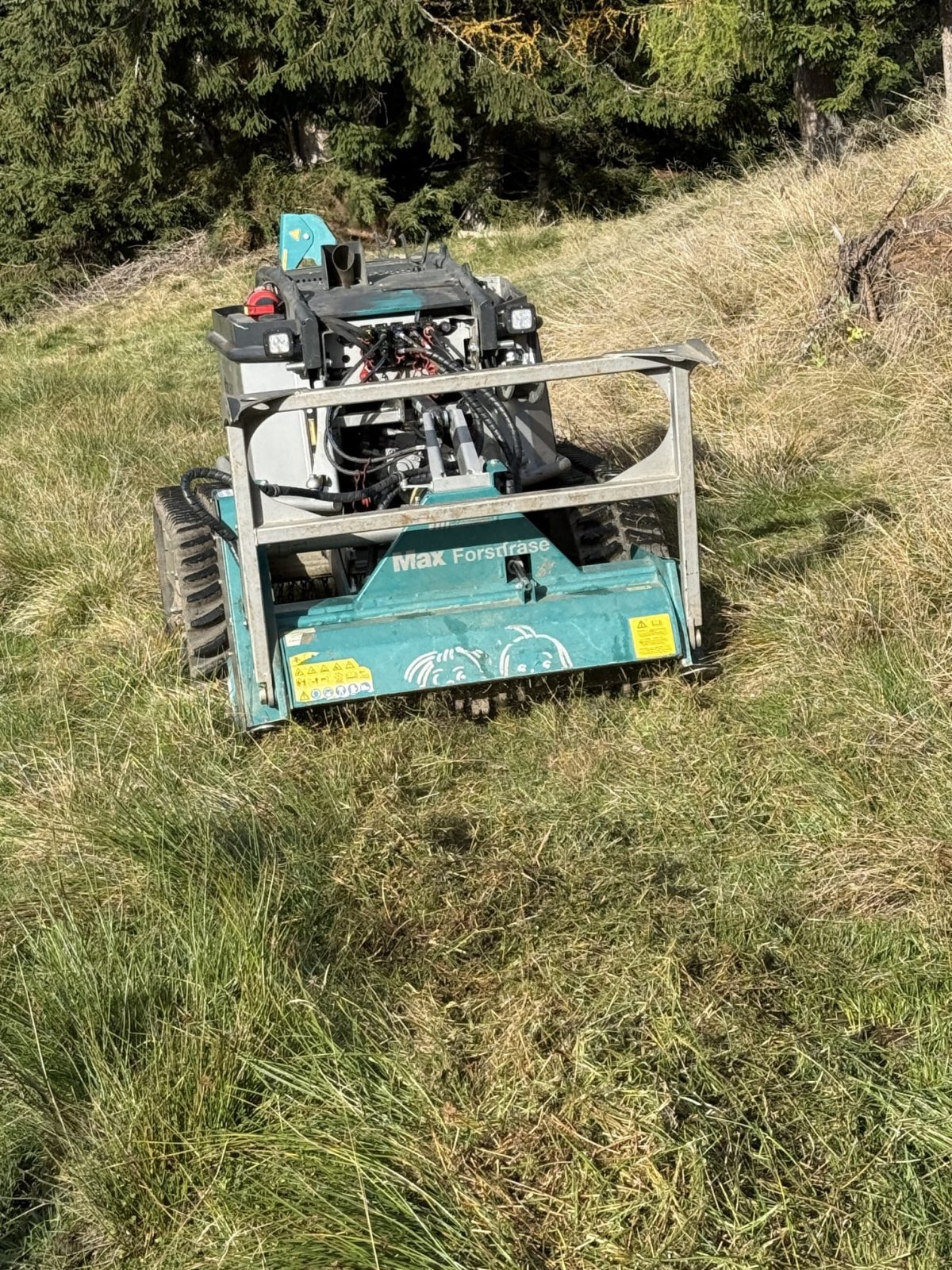 Raupentraktor typu Pflanzelt Maschinenbau Moritz FR75, Gebrauchtmaschine v St. Salvator (Obrázek 12)