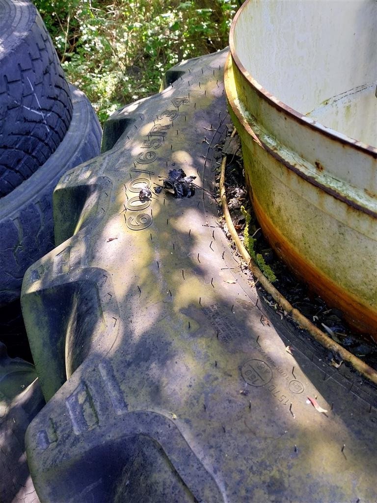 Reifen des Typs AP 600/65R34 AP+ 600/65R34 Tvillinghjul, Gebrauchtmaschine in Danmark (Bild 5)