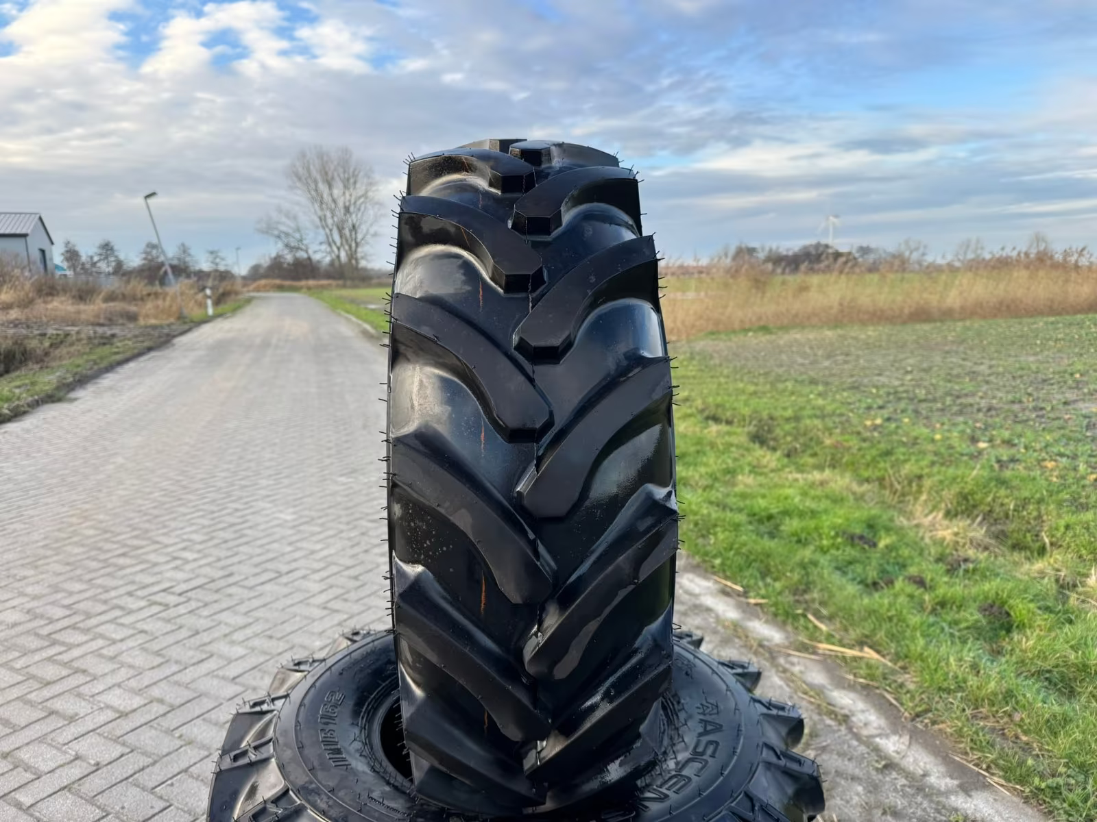 Reifen типа Ascenso 11.5/80-15.3 12PR 123A8/135A8 R-1 TL IMB, Neumaschine в Dornum - Nesse (Фотография 4)
