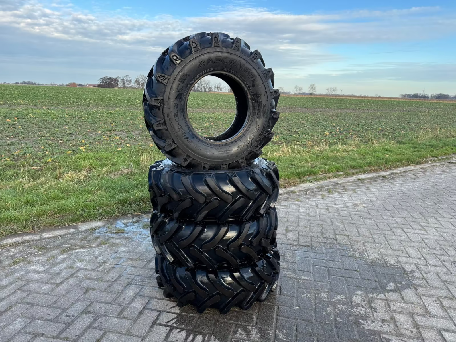 Reifen типа Ascenso 11.5/80-15.3 12PR 123A8/135A8 R-1 TL IMB, Neumaschine в Dornum - Nesse (Фотография 2)