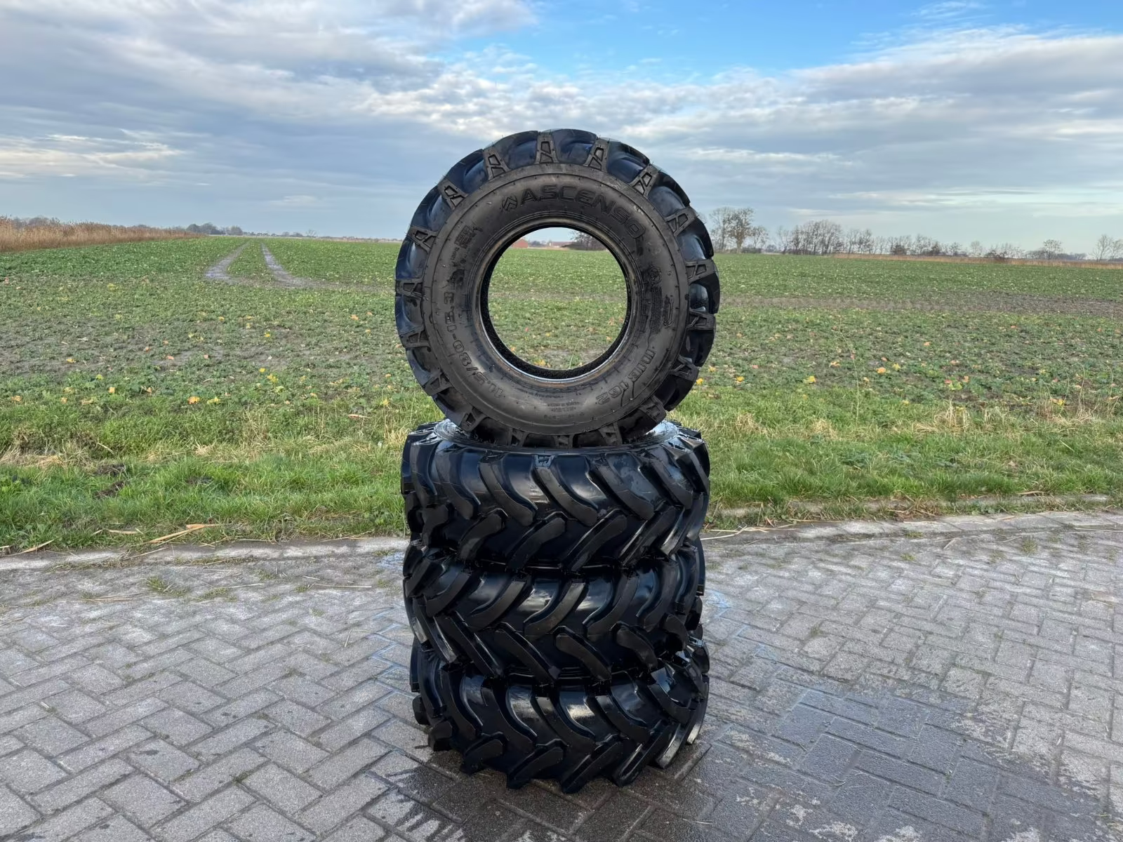 Reifen типа Ascenso 11.5/80-15.3 12PR 123A8/135A8 R-1 TL IMB, Neumaschine в Dornum - Nesse (Фотография 3)