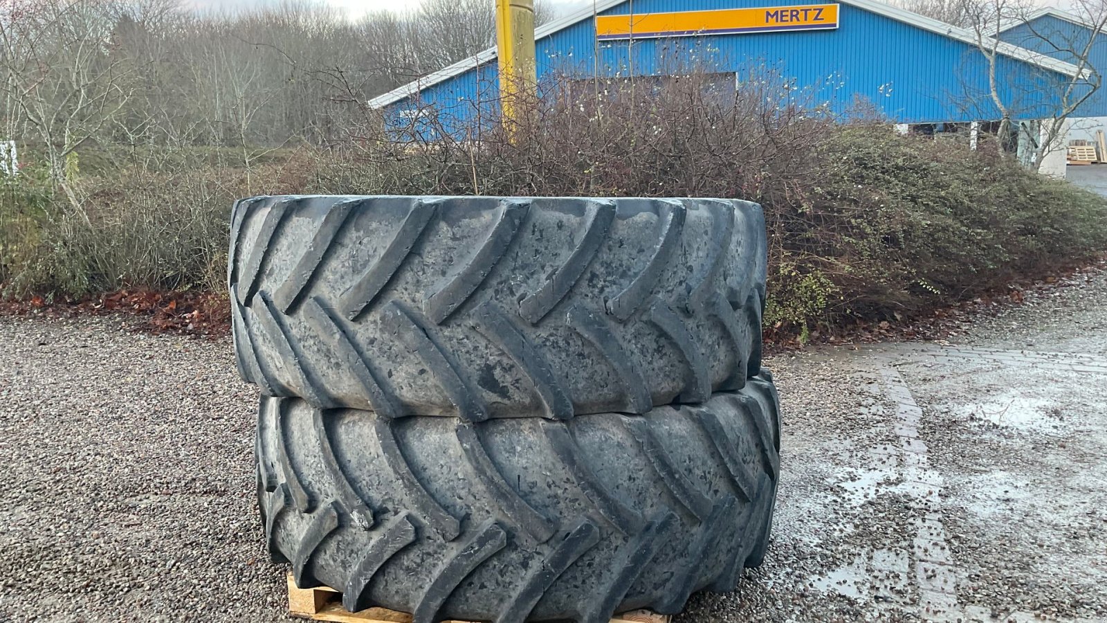 Reifen typu Continental Dæk, Gebrauchtmaschine v Maribo (Obrázek 1)