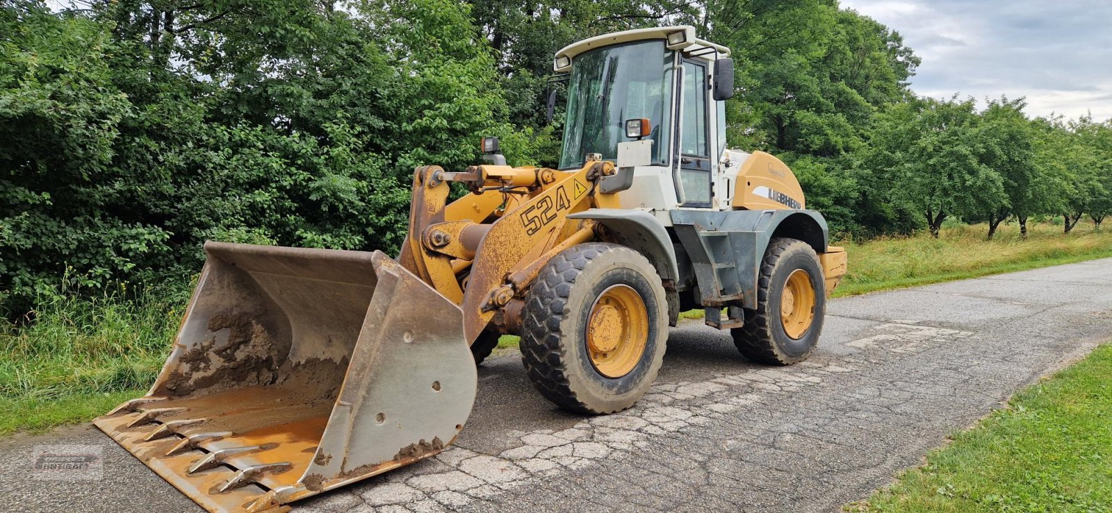 Reifen του τύπου Michelin 17.5 R25, Gebrauchtmaschine σε Deutsch - Goritz (Φωτογραφία 7)