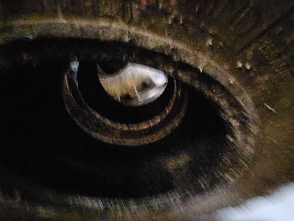 Reifen des Typs Michelin Bibload Hard Surface, Gebrauchtmaschine in Montpellier (Bild 4)