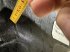 Reifen typu Pirelli 710/70R42, Gebrauchtmaschine v Haderup (Obrázek 5)