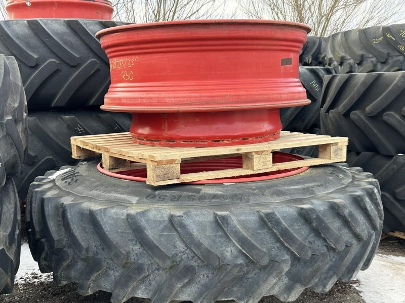 Reifen Türe ait Sonstige 16X50/38, Gebrauchtmaschine içinde Randers SV